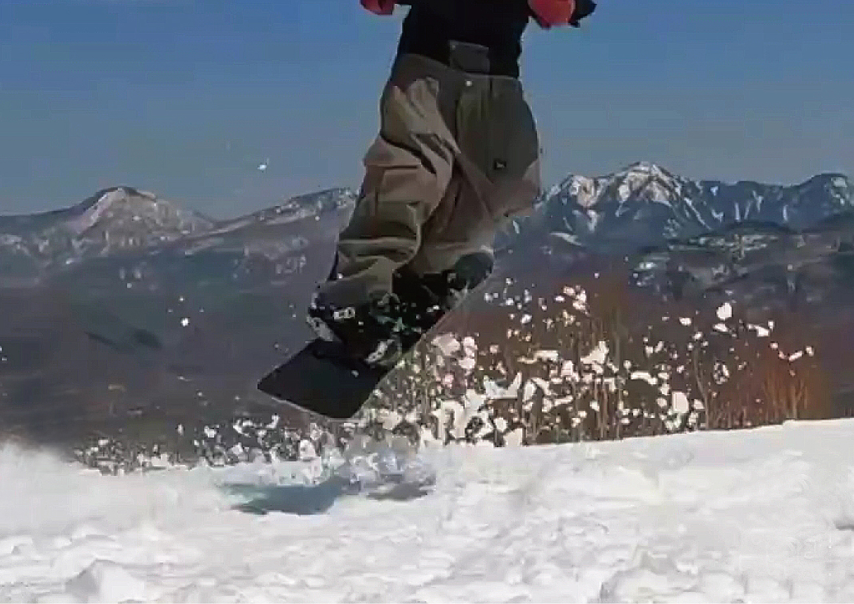 MOSS SNOWBOARDS モススノーボード オフィシャルサイト