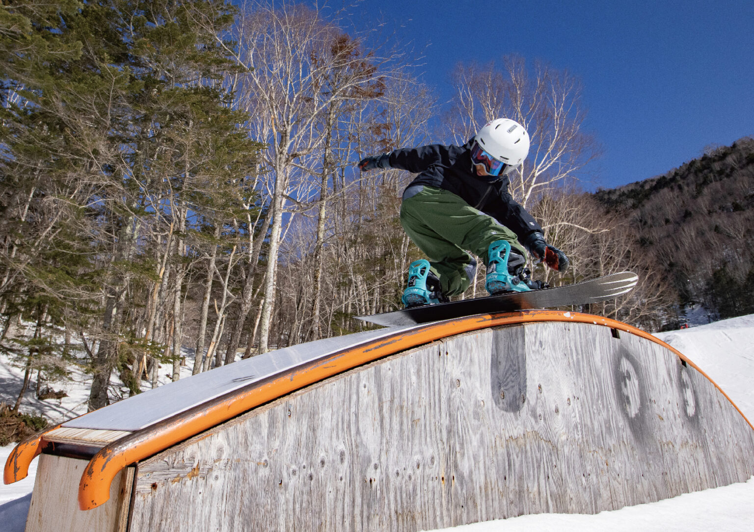 MOSS SNOWBOARDS モススノーボード オフィシャルサイト